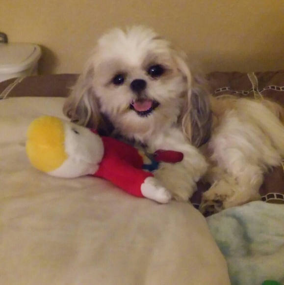 Meet your Posher, D - Picture 2 of 3